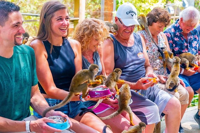 Mono ardilla en el santuario Monkey Jungle
