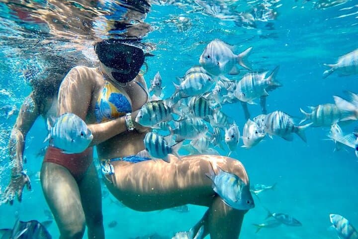 Arrecife de coral de la Bahía de Sosúa